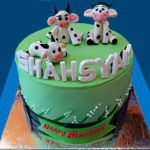Sugar Paste cake